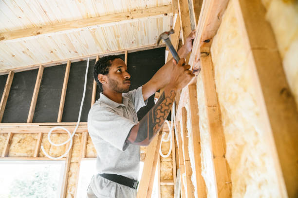 Best Home Insulation Services  in Mazomanie, WI